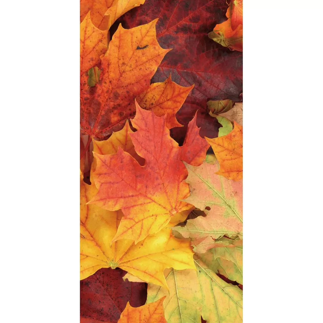 Decoración De Otoño | Pancartas De Otoño>DecoWoerner Bandera De Tela Ignífuga "Hojas De Otoño" 100 X 200 Cm naranja