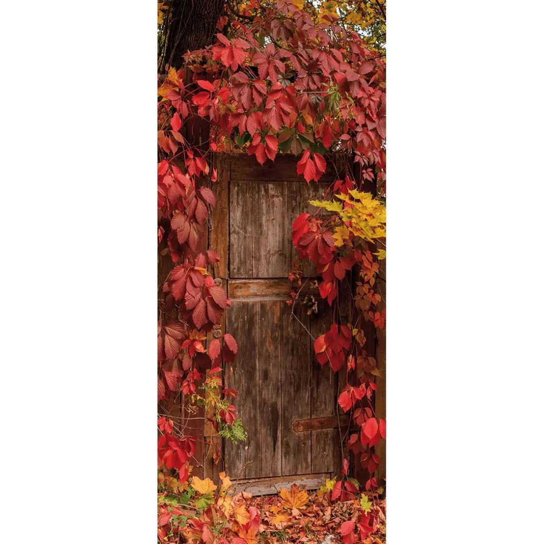 Pancartas De Otoño>DecoWoerner Bandera De Tela Ignífuga "Hojas De Otoño" 100 X 200 Cm rojo
