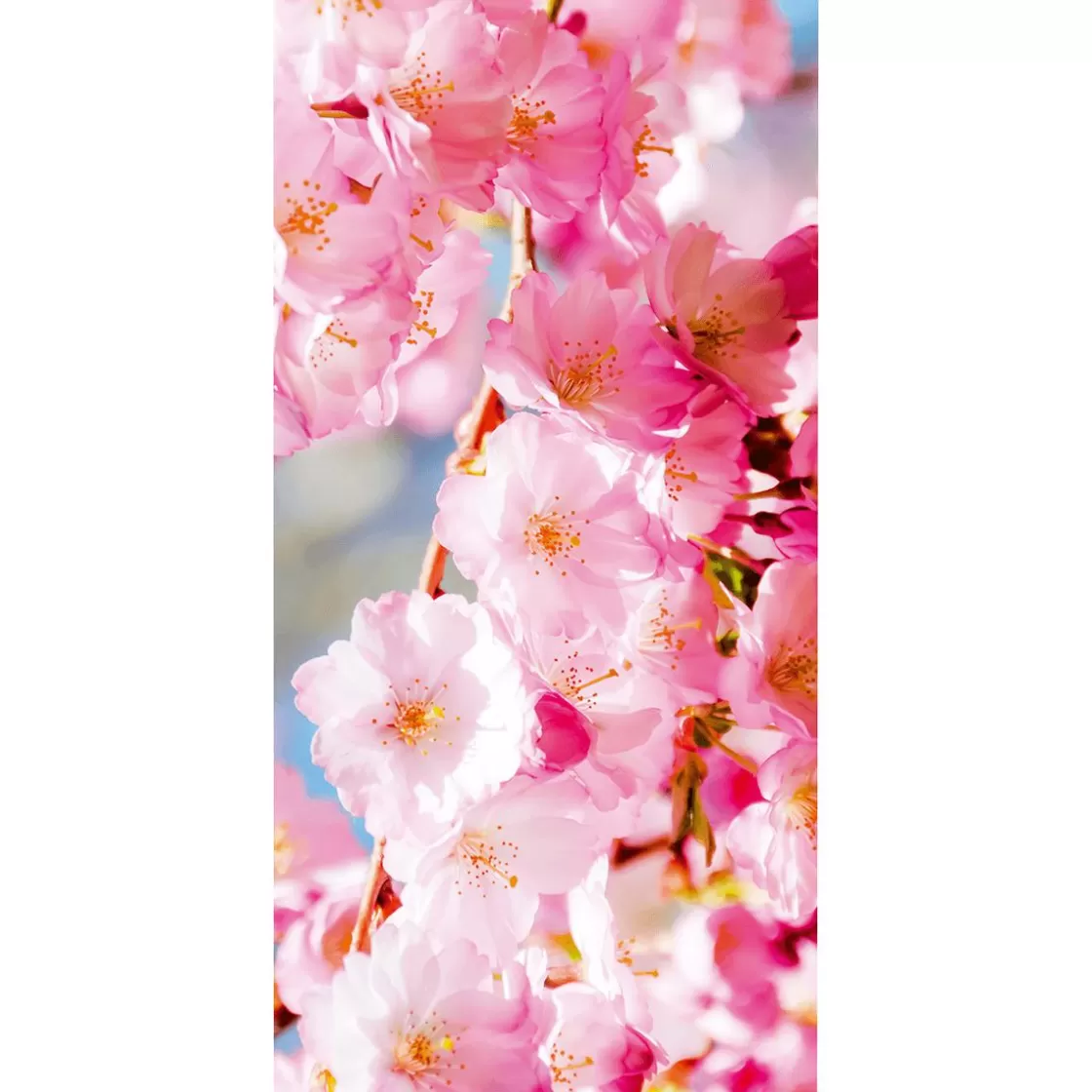 Decoración De Primavera | Pancartas De Primavera>DecoWoerner Cartel De Tela Ignífuga "flores De Cerezo " De Tela De Bandera 100 X 200 Cm rosa