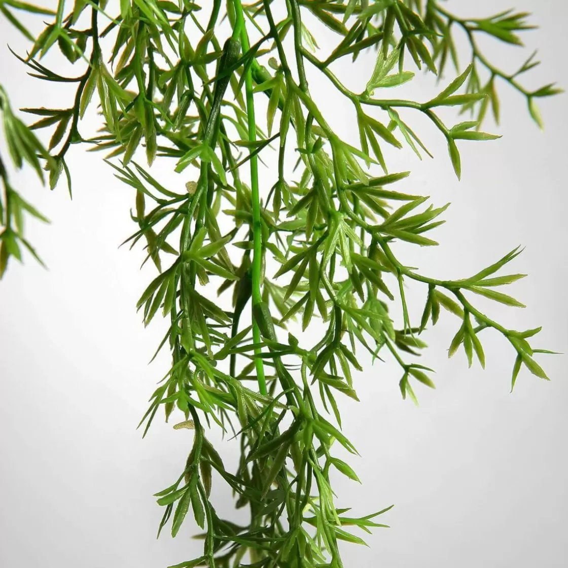 Plantas Verdes | Plantas Colgantes>DecoWoerner Colgador De Plantas Artificiales Espárragos Ornamentales, Claro 84 Cm verde
