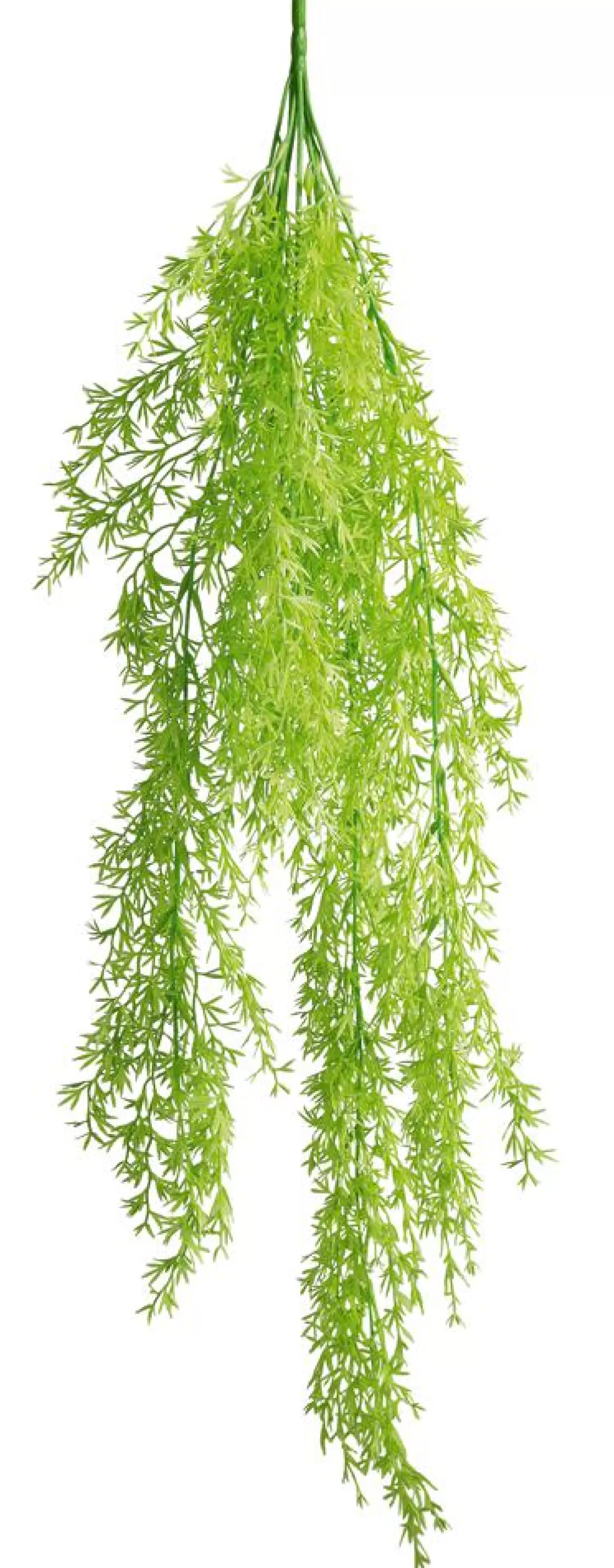 Plantas Verdes | Plantas Colgantes>DecoWoerner Colgante De Plantas Artificiales Espárragos De Sprenger , 84 Cm verde