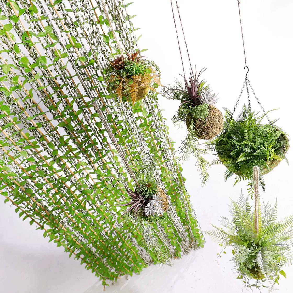 Decoración De Verano>DecoWoerner Cortina Decorativa Nature Longitud 200 Cm verde