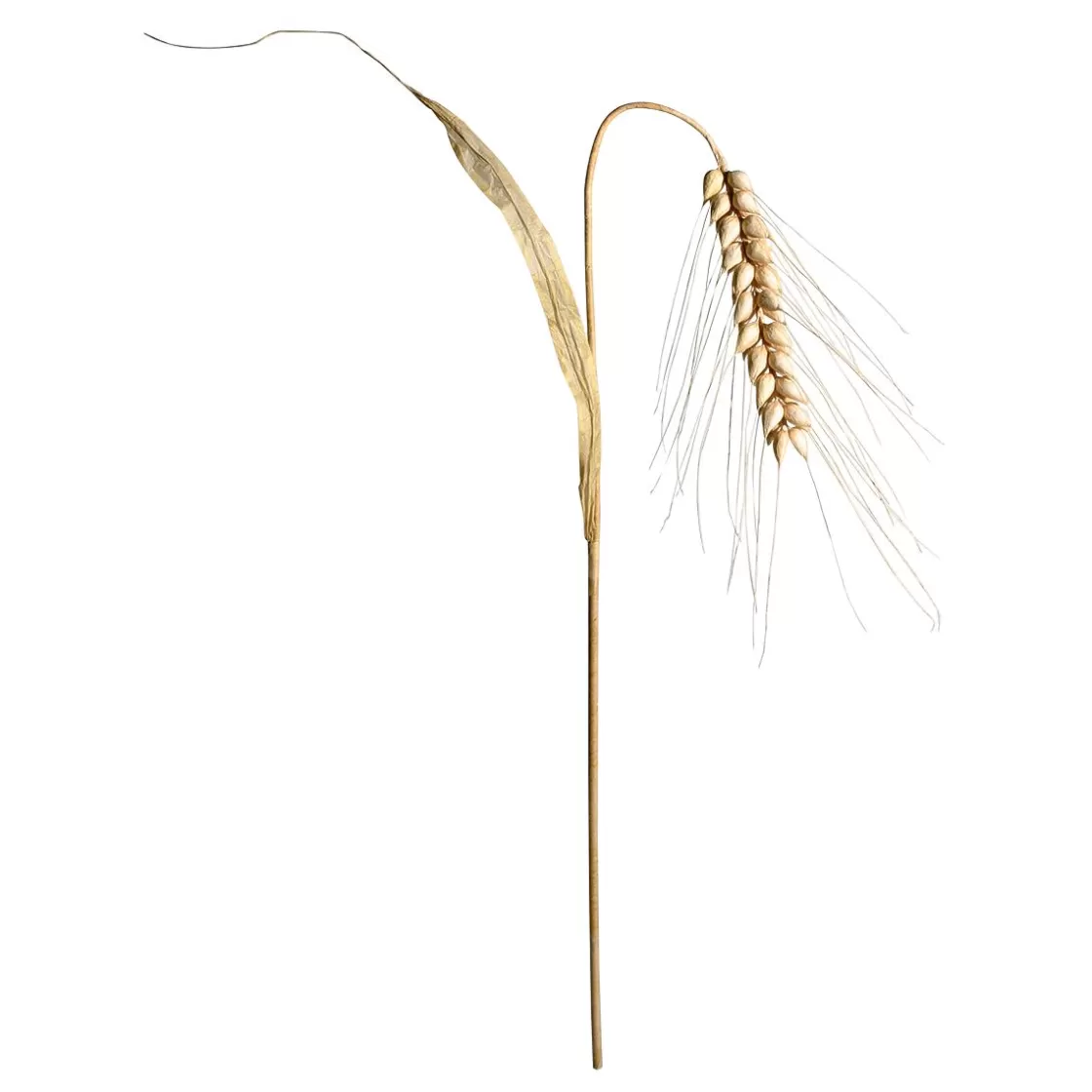 Decoración De Otoño>DecoWoerner Espiga De Trigo Decorativa, Altura 170 Cm Beige