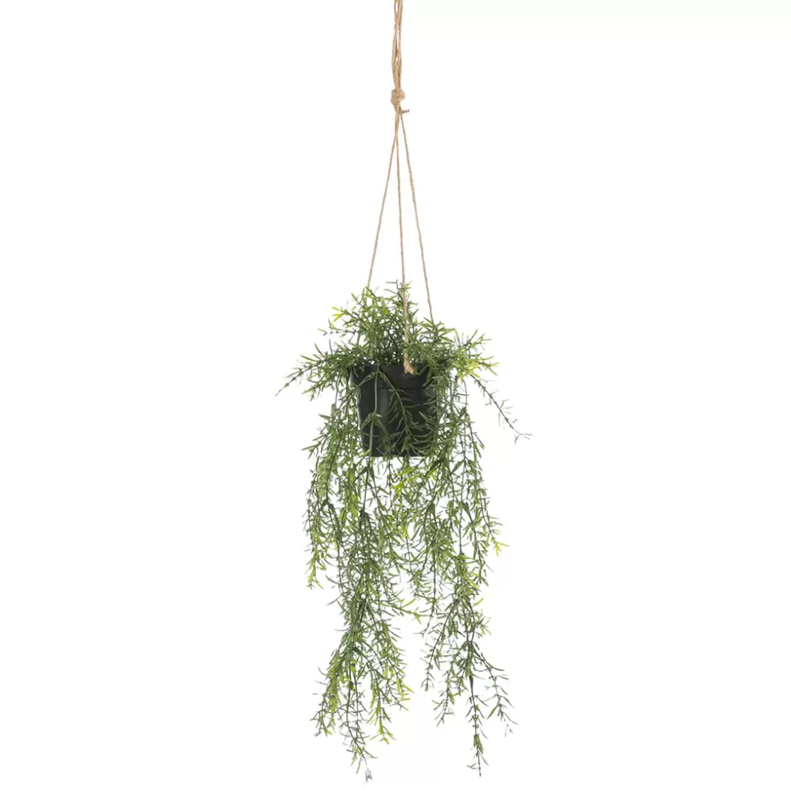 Plantas Colgantes>DecoWoerner Espárrago Artificial Ornamental Asparagus Cesta Colgante 20 X 50 Cm verde