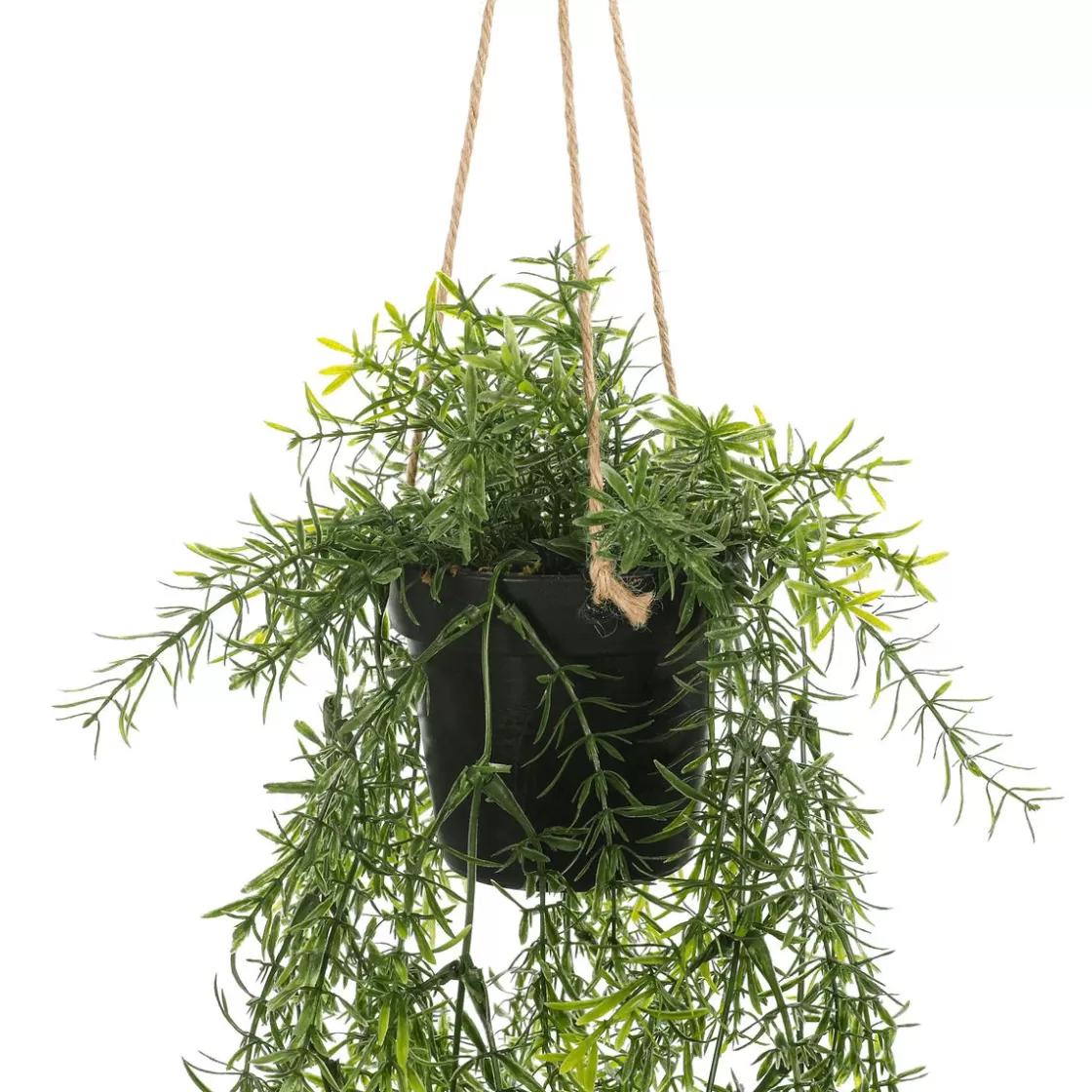 Plantas Colgantes>DecoWoerner Espárrago Artificial Ornamental Asparagus Cesta Colgante 20 X 50 Cm verde