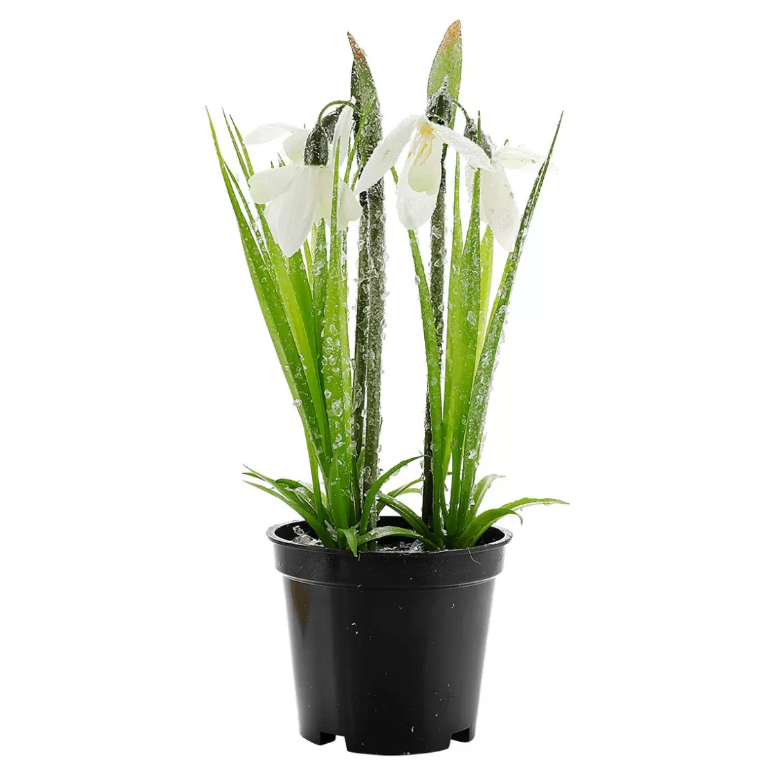 Decoración De Primavera | Flores Artificiales>DecoWoerner Flor Artificial Campanilla De Invierno En Maceta, 20 Cm De Altura blanco