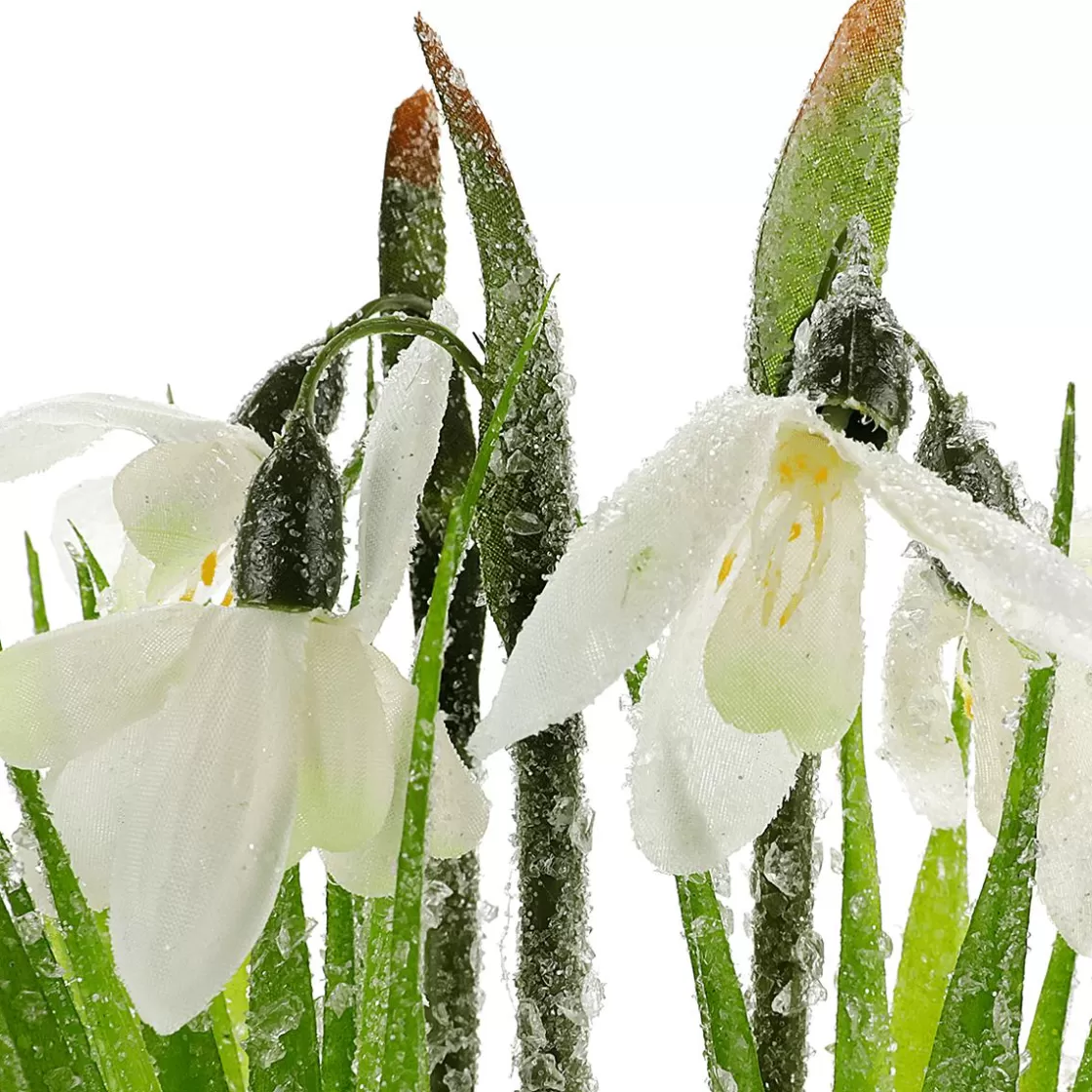 Decoración De Primavera | Flores Artificiales>DecoWoerner Flor Artificial Campanilla De Invierno En Maceta, 20 Cm De Altura blanco