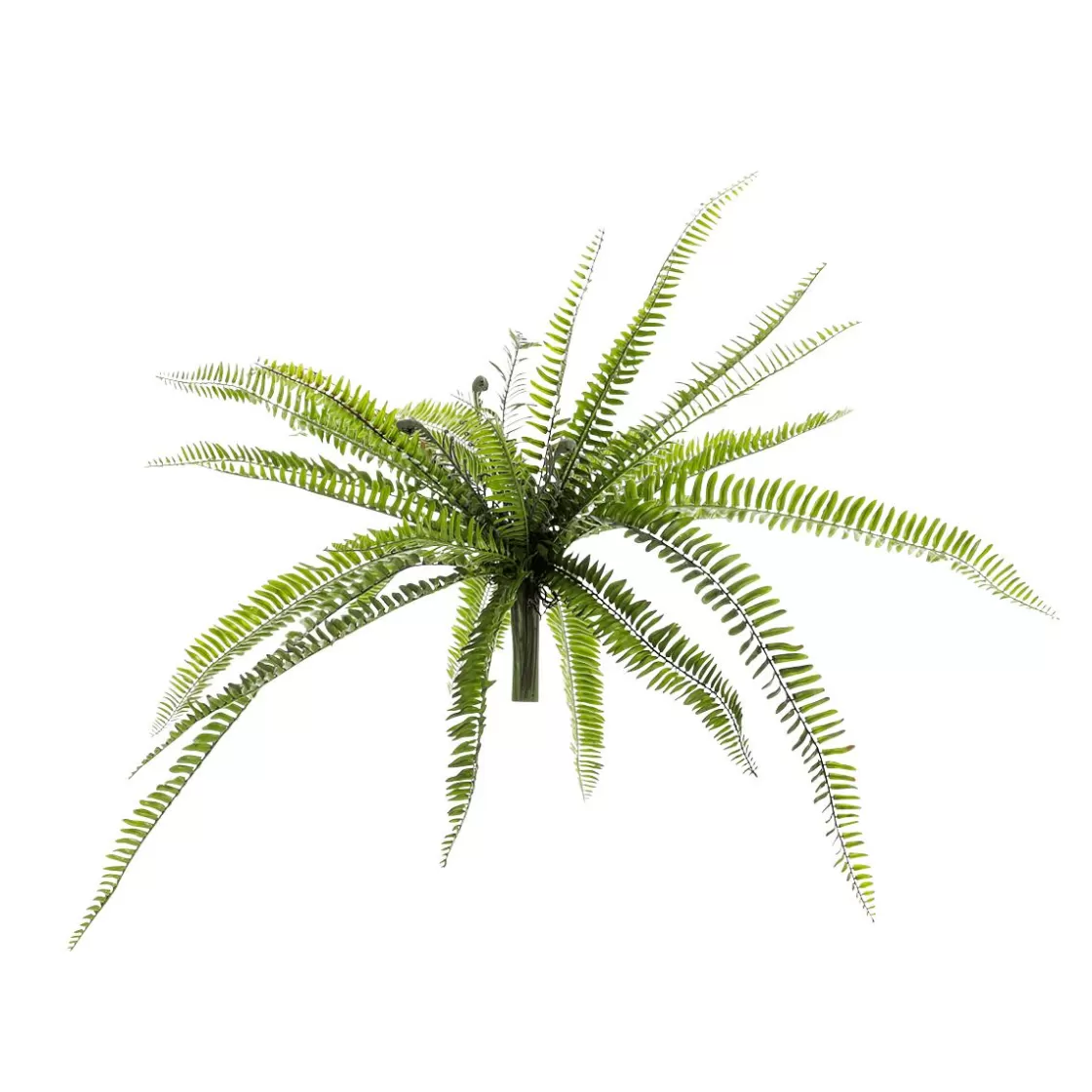 Plantas Verdes | Plantas De Interior>DecoWoerner Helecho XXL - Planta Artificial Con Palo De Inserción 100 Cm Ø verde