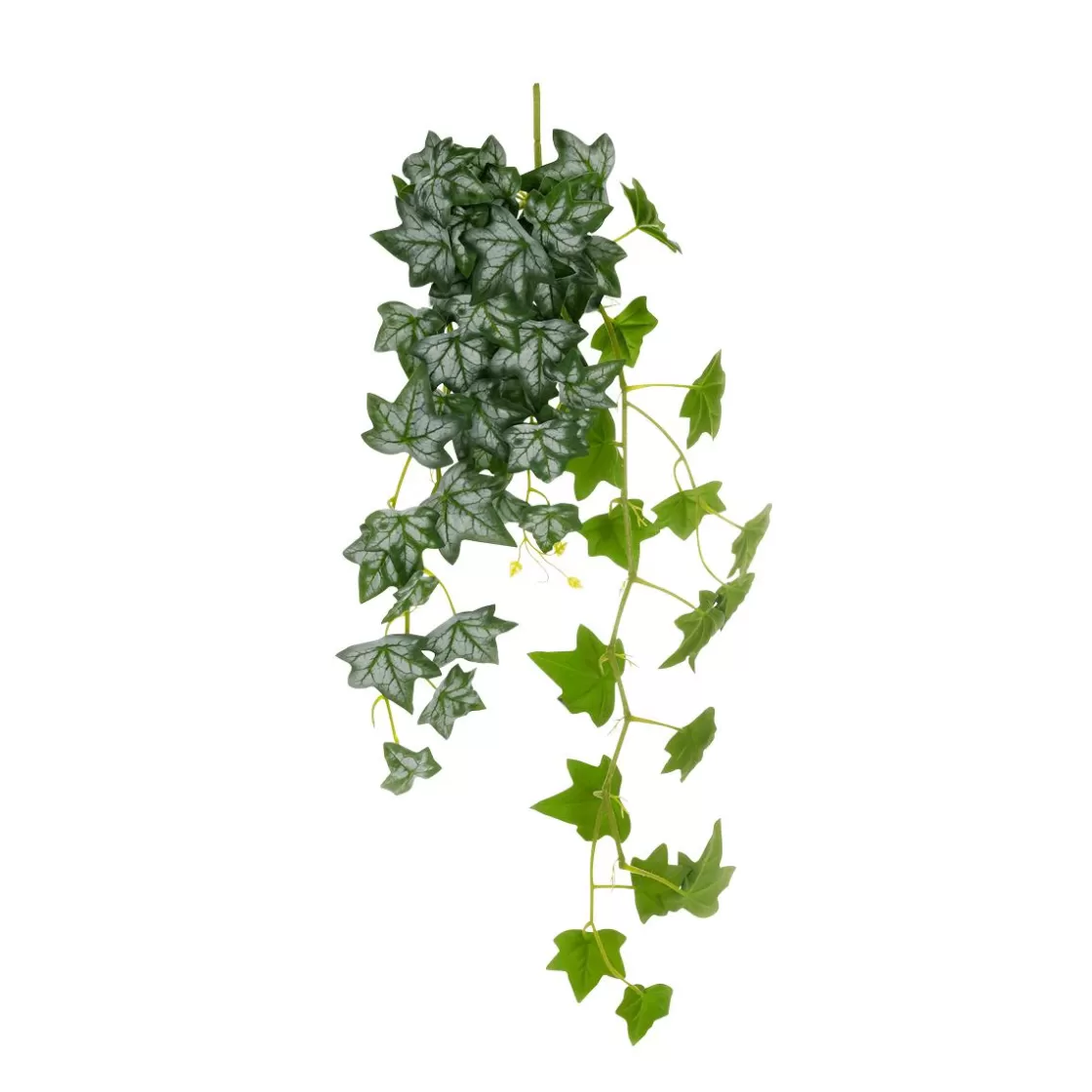Plantas Colgantes>DecoWoerner Hiedra Artificial Colgante Blanca 85 Cm verde