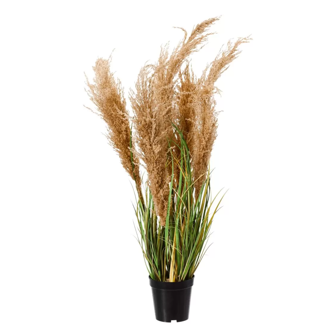 Hierba Decorativa>DecoWoerner Hierba De Caña Artificial En La Maceta Altura 110 Cm verde