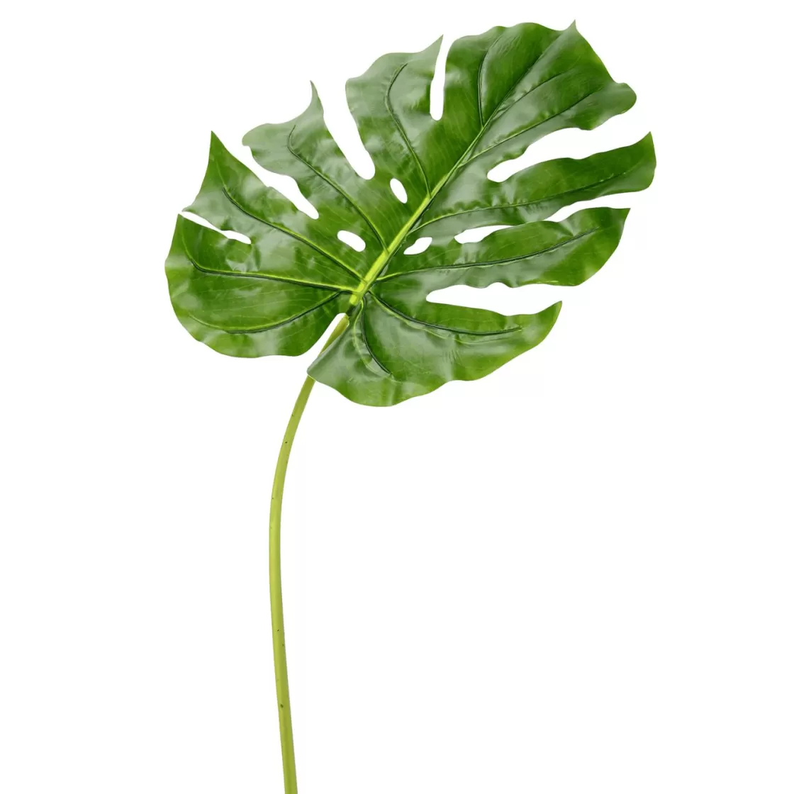 Decoración De Verano | Ramas Y Ramitas>DecoWoerner Hoja Artificial Deco Philo 43 X 95 X 103 Cm verde