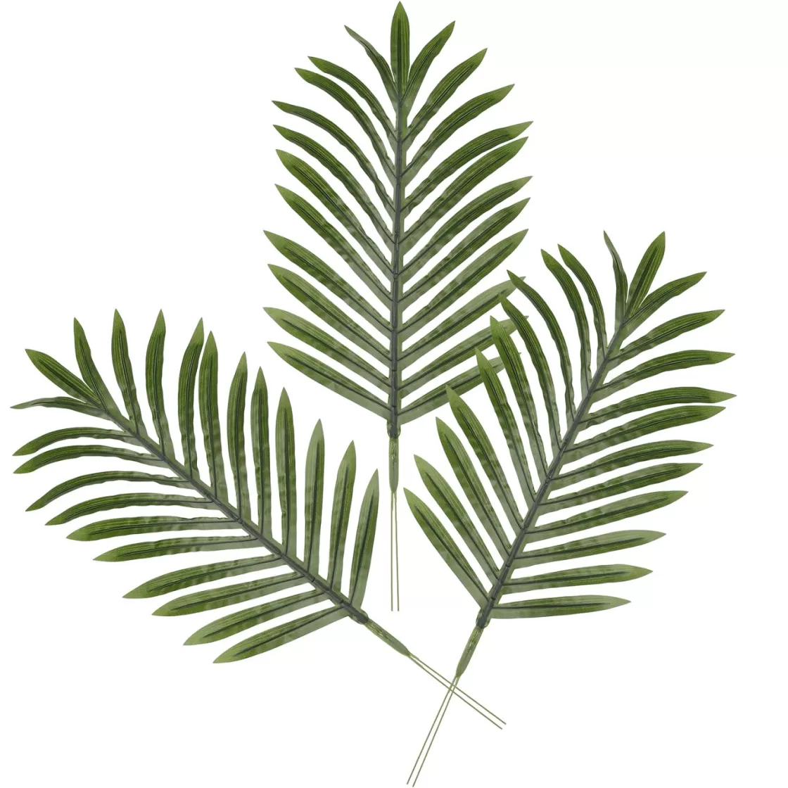 Decoración De Verano | Árboles Artificiales>DecoWoerner Hoja De Palma Areca Decorativa, Longitud 58 Cm, 3 Piezas verde