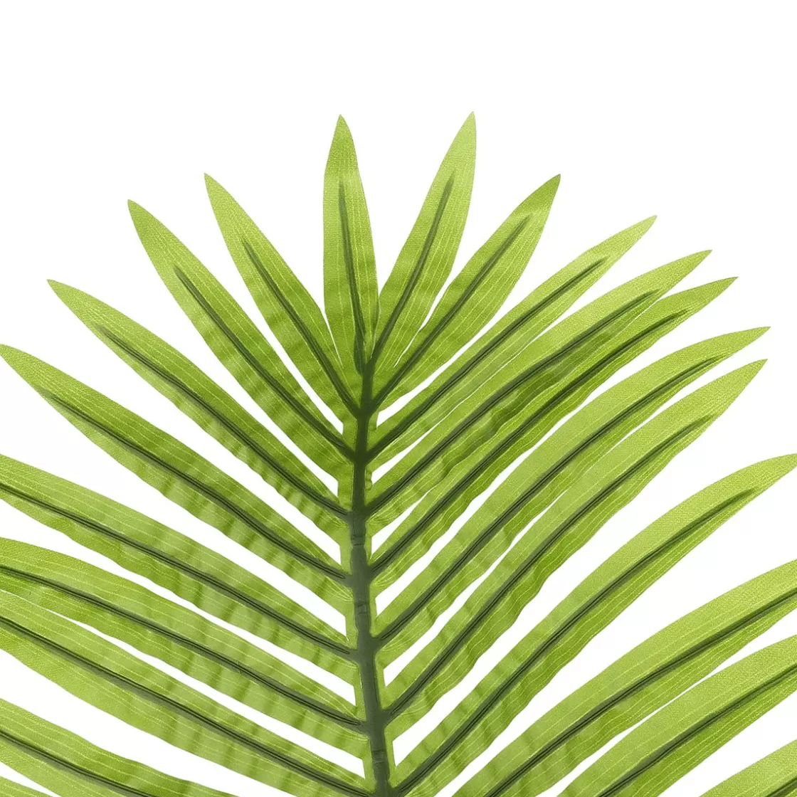 Decoración De Verano | Hojas>DecoWoerner Hoja De Palmera Areca Decorativa, Longitud 98 Cm verde