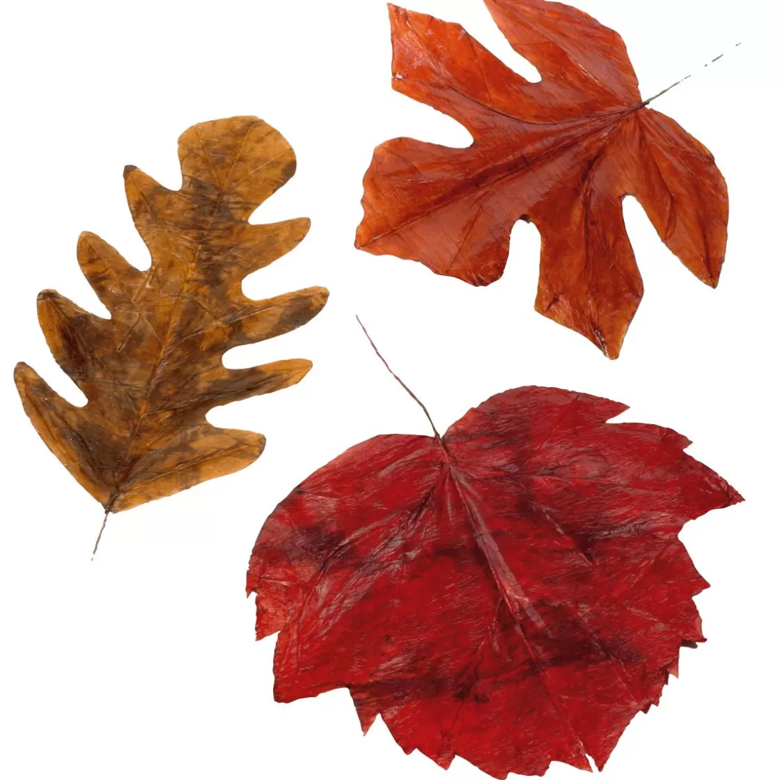 Decoración De Otoño | Hojas>DecoWoerner Hojas De Otoño Decorativas 80 Cm, 3 Pz. naranja