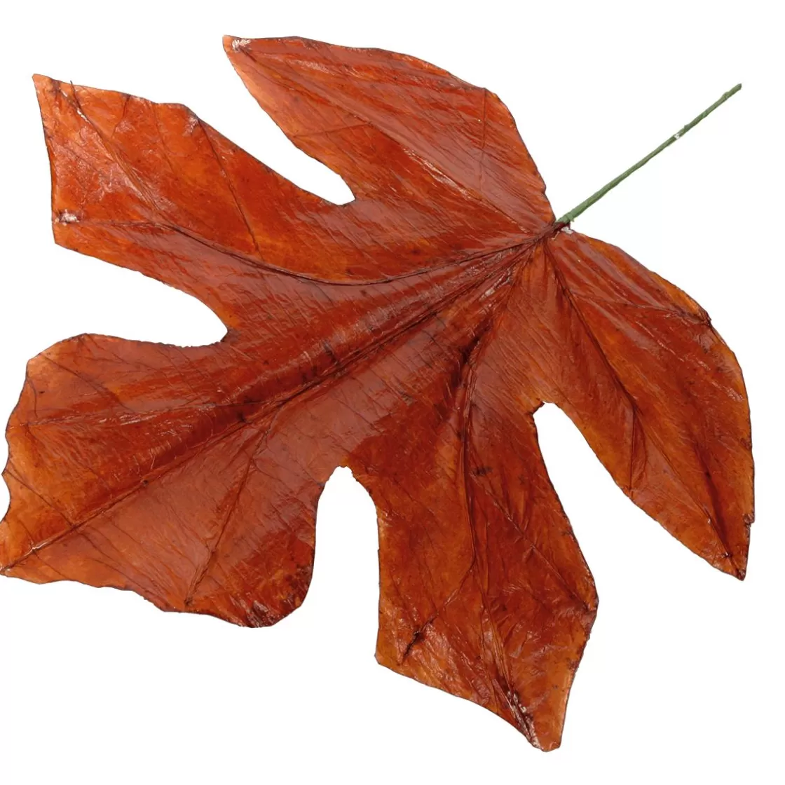 Decoración De Otoño | Hojas>DecoWoerner Hojas De Otoño Decorativas 80 Cm, 3 Pz. naranja