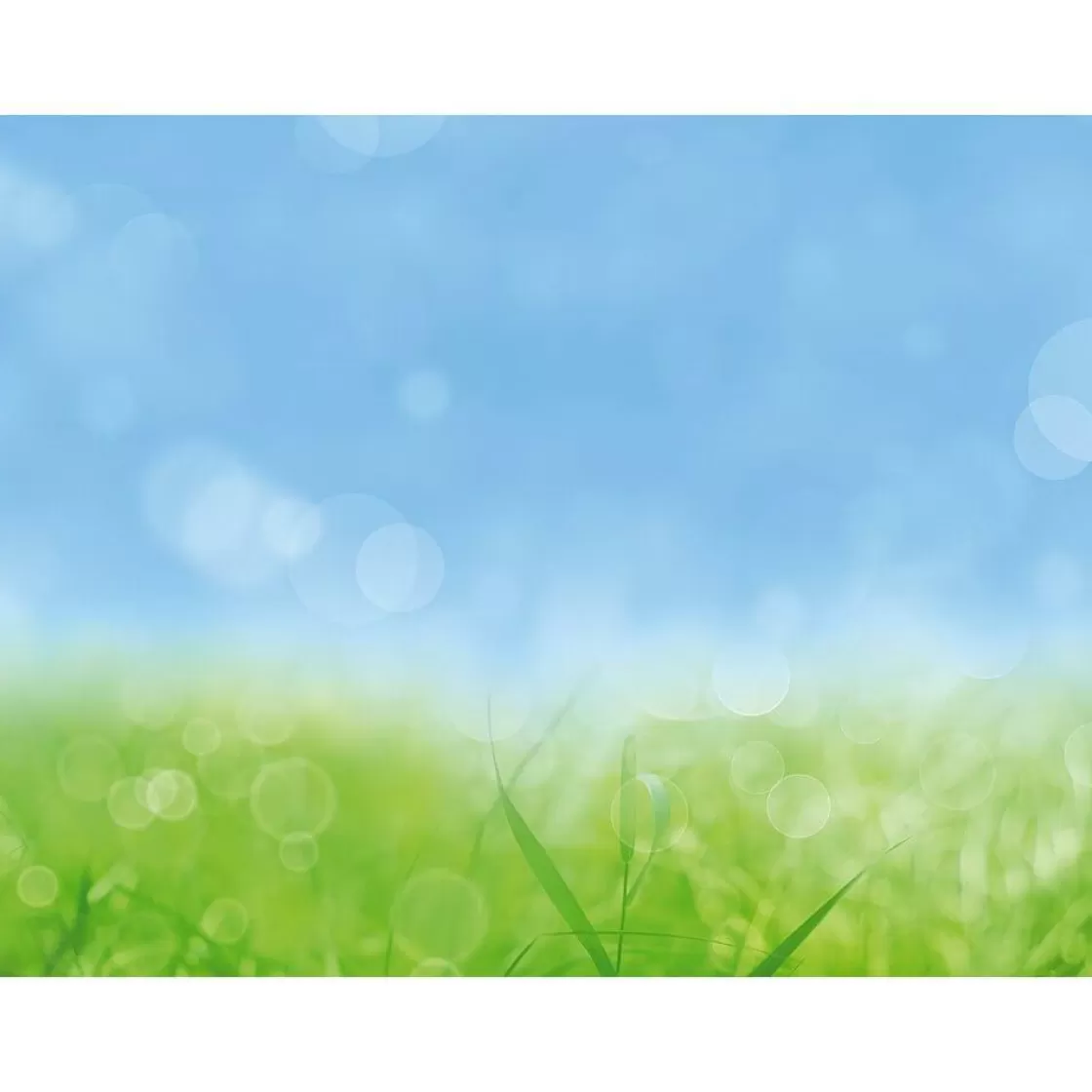 Pancartas De Primavera | Bandera Xxl>DecoWoerner Lona XXL "Hierba De Primavera" De Lona De Camión Ignífuga 250 X 330 Cm verde