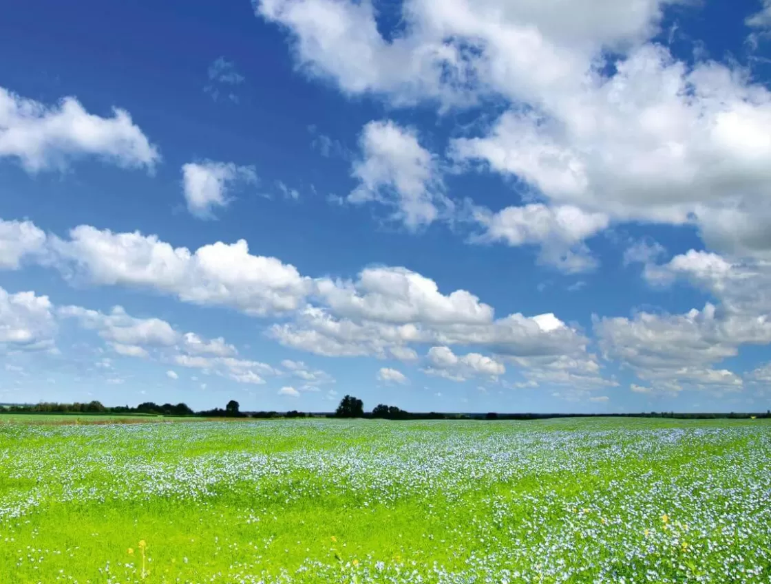 Bandera Xxl | Decoración De Verano>DecoWoerner Lona XXL "Pradera Y Cielo Nublado" De Lona De Camión Ignífuga 250 X 330 Cm verde
