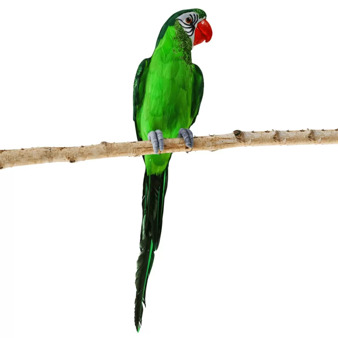 Decoración De Animales | Decoración De Verano>DecoWoerner Loro Sentado 66 X 16 X 17 Cm verde