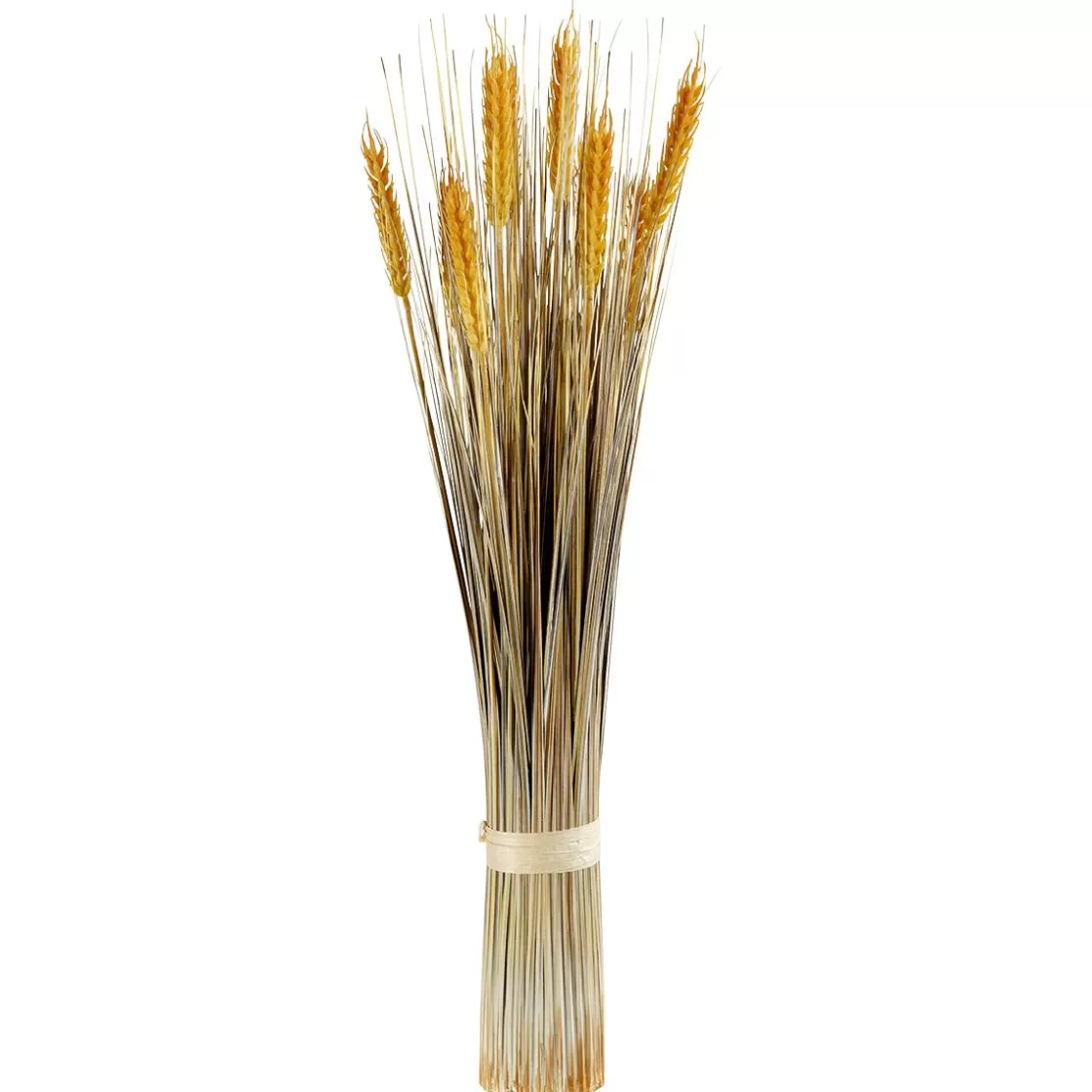 Decoración De Otoño | Hierba Decorativa>DecoWoerner Manojo De Espigas De Trigo Decorativo 60 Cm amarillo