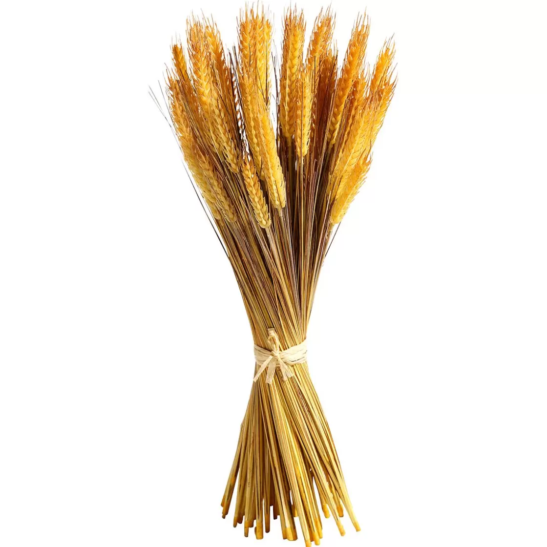 Decoración De Otoño | Hierba Decorativa>DecoWoerner Manojo De Espigas De Trigo Decorativo 60 Cm amarillo