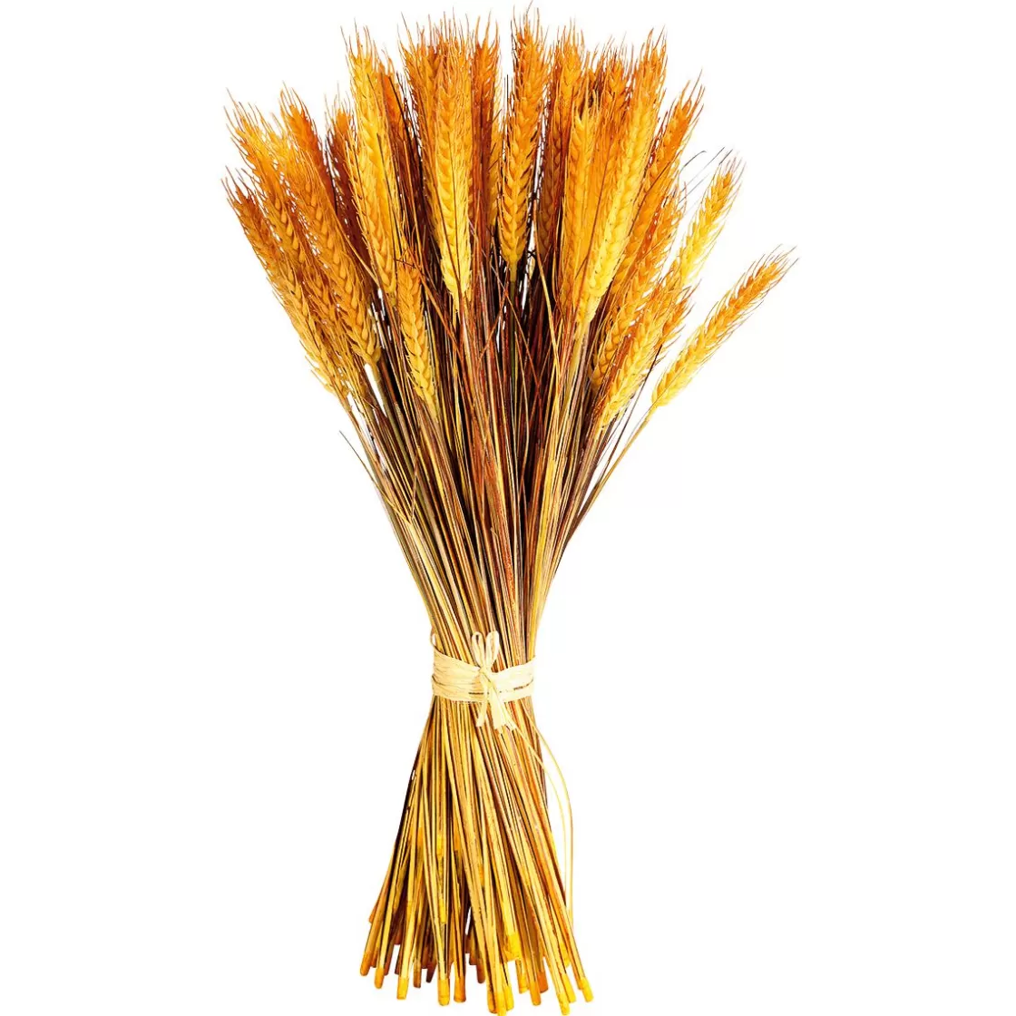 Decoración De Otoño | Hierba Decorativa>DecoWoerner Manojo De Espigas De Trigo Decorativo 60 Cm amarillo