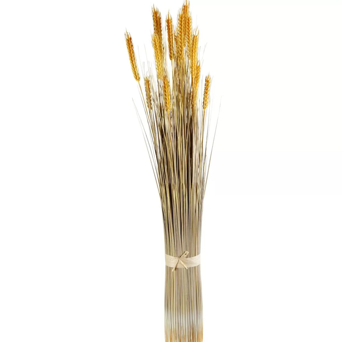 Decoración De Otoño | Hierba Decorativa>DecoWoerner Manojo De Espigas De Trigo Decorativo, 90 Cm amarillo