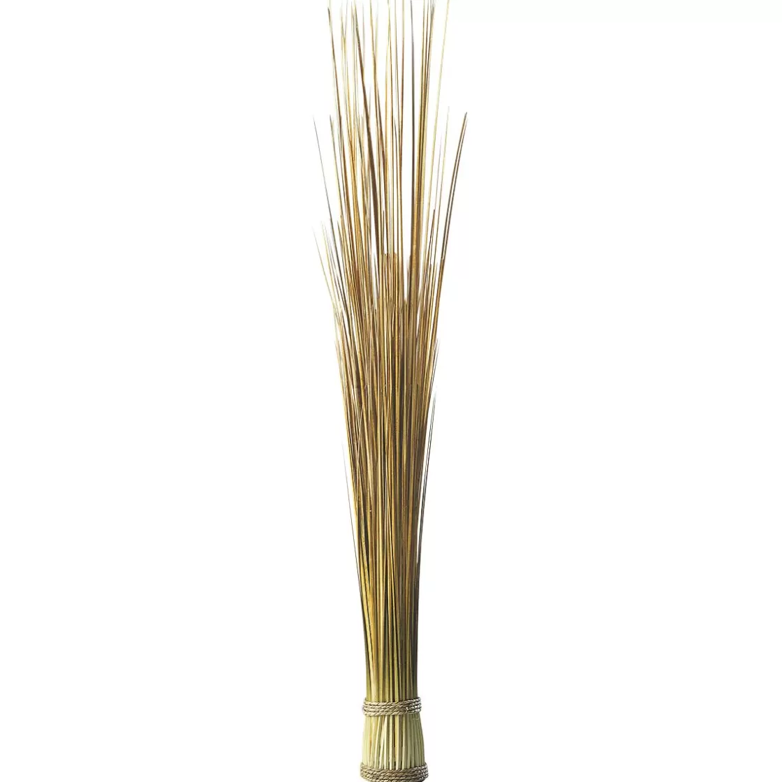 Decoración De Otoño | Hierba Decorativa>DecoWoerner Manojo De Hierba Decorativa Extra Largo, Longitud 90 Cm marrón