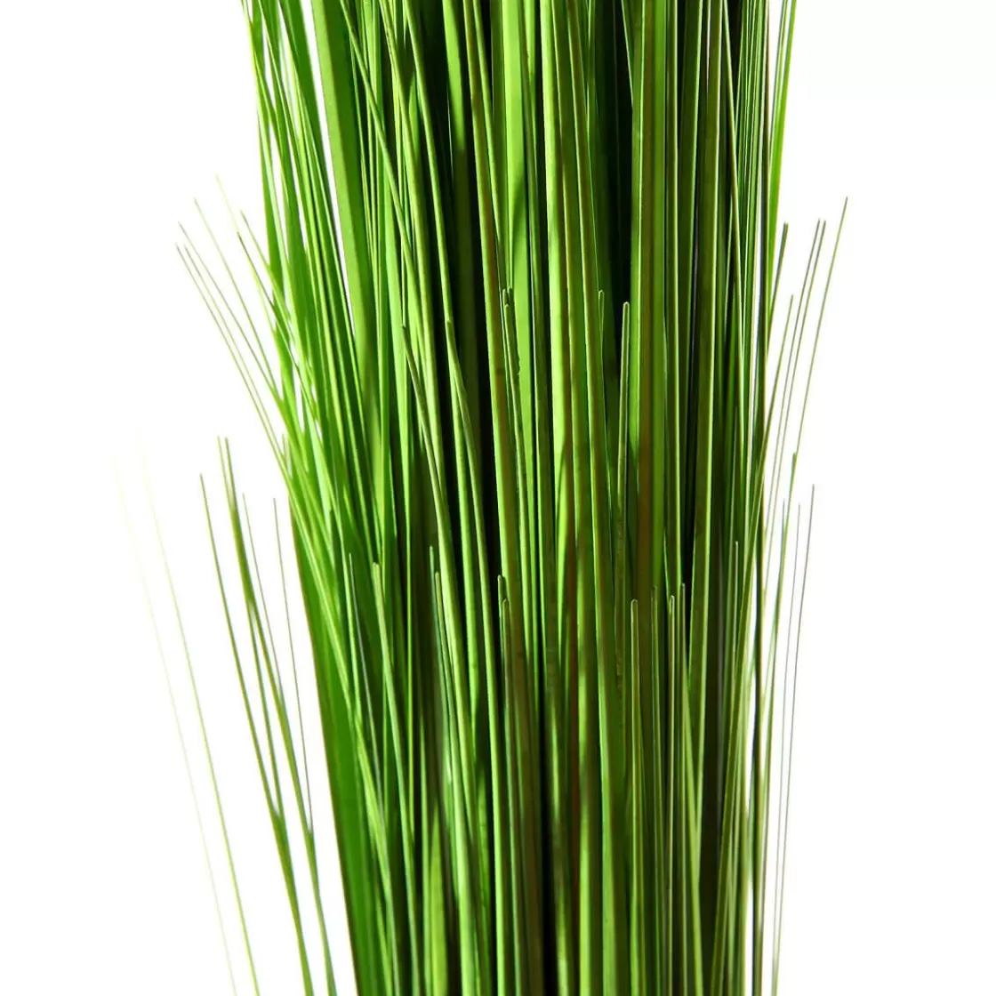Decoración De Primavera | Hierba Decorativa>DecoWoerner Manojo De Hierba Decorativa Extra Largo, Longitud 90 Cm verde
