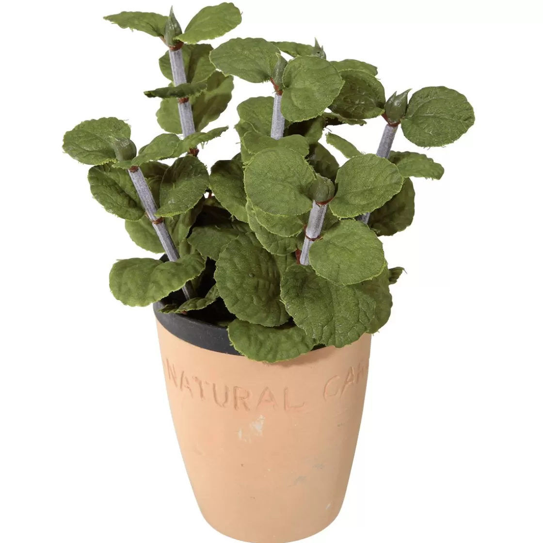 Plantas De Interior | Verduras Y Hierbas>DecoWoerner Menta Decorativa En Tiesto De Barro 20 Cm verde