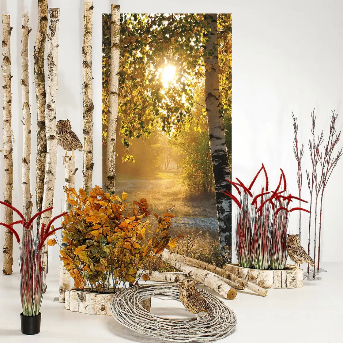 Decoración De Otoño | Pancartas De Otoño>DecoWoerner Pancarta De Tela Ignífuga "Abedules De Otoño" De Tela De Bandera 100 X 200 Cm amarillo
