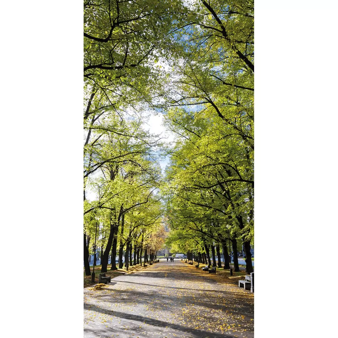 Decoración De Otoño | Decoración De Verano>DecoWoerner Pancarta De Tela Ignífuga "Avenida En El Parque" De Tela De Bandera 100 X 200 Cm verde