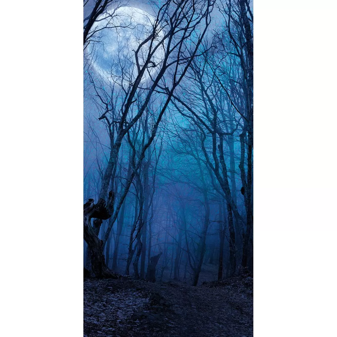 Decoración Temática | Pancartas Temáticas>DecoWoerner Pancarta De Tela Ignífuga "Bosque Nocturno Bajo La Luna Llena" De Tela De Bandera 100 X 200 Cm azul