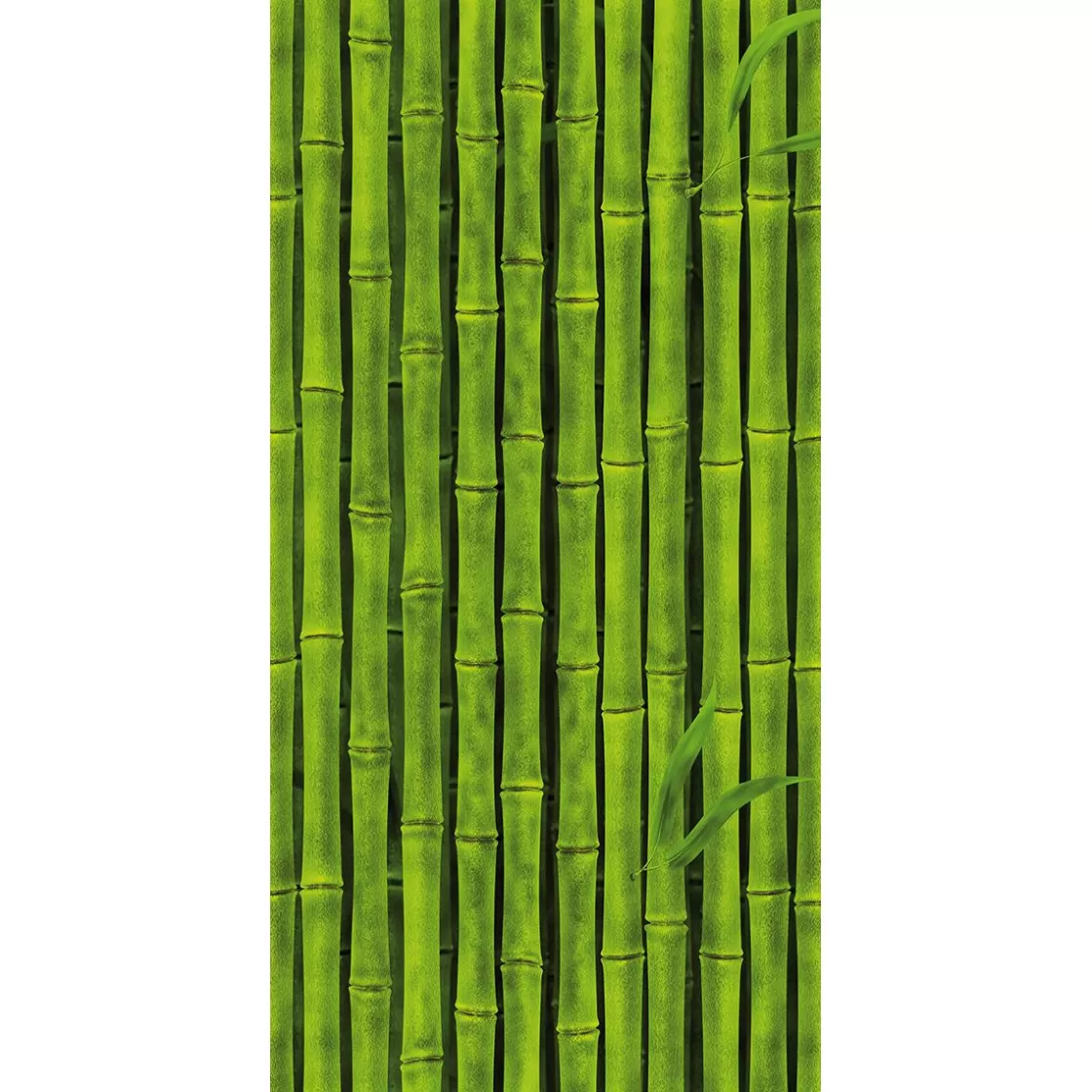 Pancartas Temáticas | Pancartas De Verano>DecoWoerner Pancarta De Tela Ignífuga "cañas De Bambú s" En Tela De Bandera 100 X 200 Cm verde