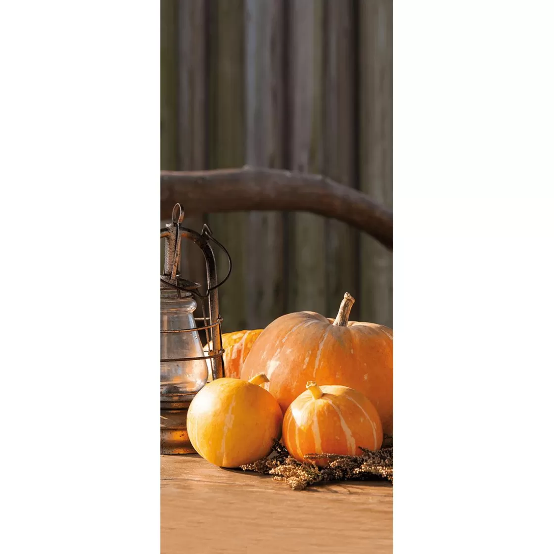 Decoración De Otoño | Pancartas De Otoño>DecoWoerner Pancarta De Tela Ignífuga "Calabaza Con Farol" De Tela De Bandera 75 X 180 Cm naranja
