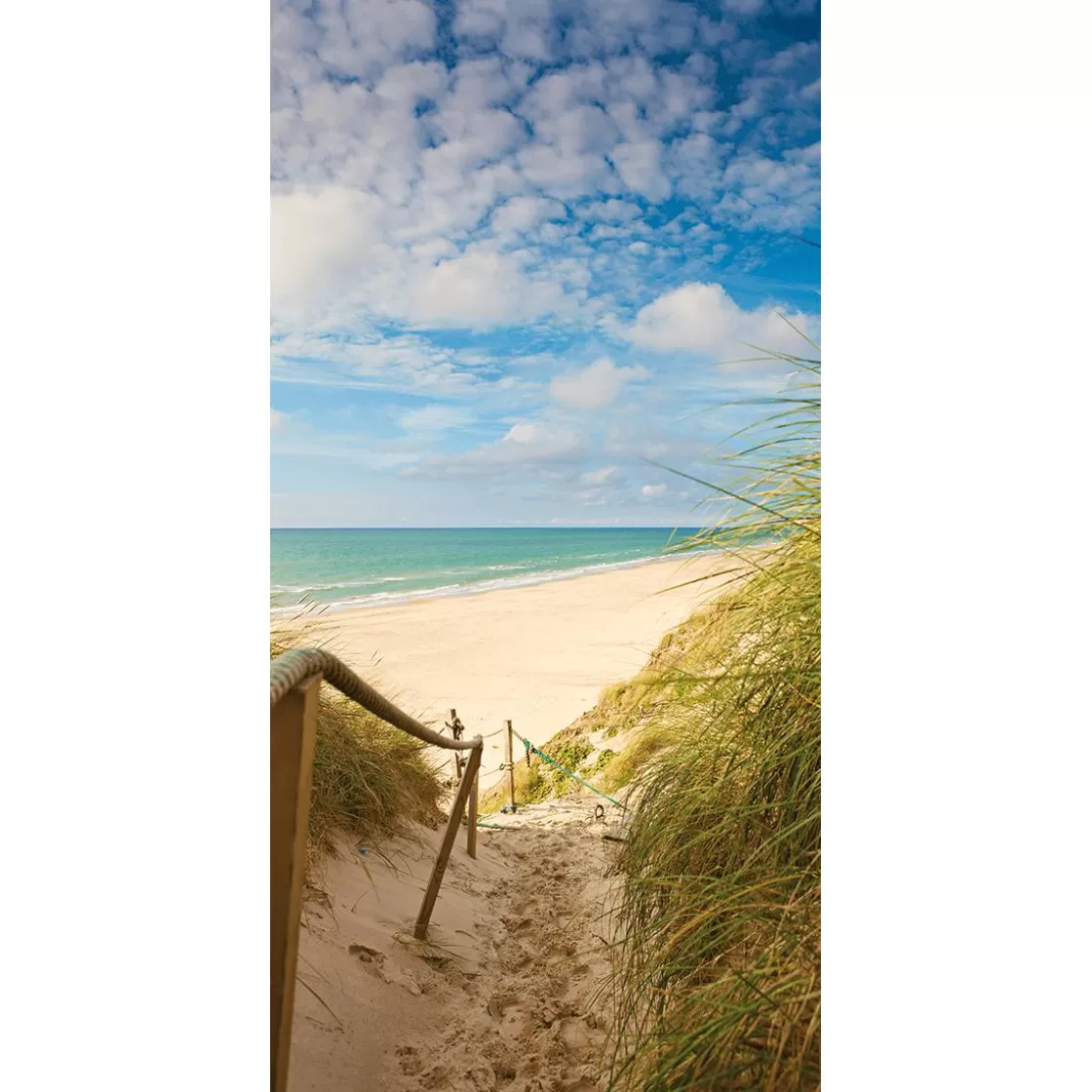 Decoración De Verano | Pancartas De Verano>DecoWoerner Pancarta De Tela Ignífuga "Camino De Las Dunas A La Playa" De Tela De Bandera 100 X 200 Cm azul