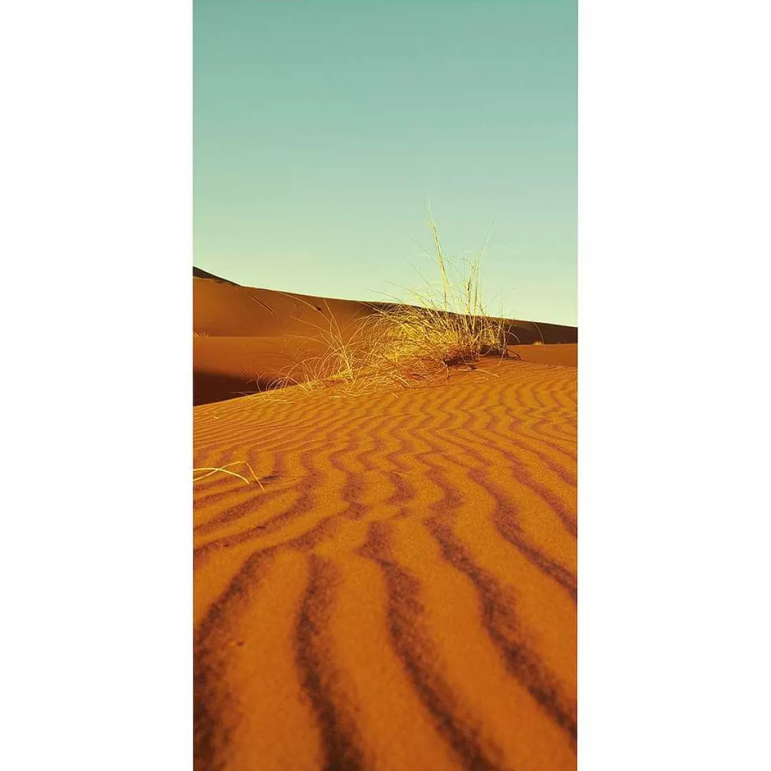 Decoración De Verano | Pancartas De Verano>DecoWoerner Pancarta De Tela Ignífuga "Desierto" De Tela De Bandera 100 X 200 Cm marrón