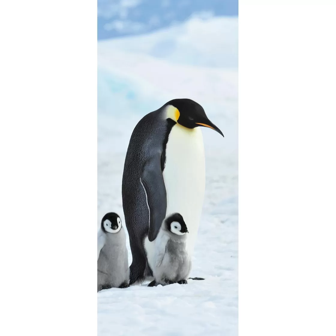 Decoración De Invierno | Pancartas De Navidad E Invierno>DecoWoerner Pancarta De Tela Ignífuga "Familia De Pingüinos Emperadores" Tela De Bandera 75 X 180 Cm negro