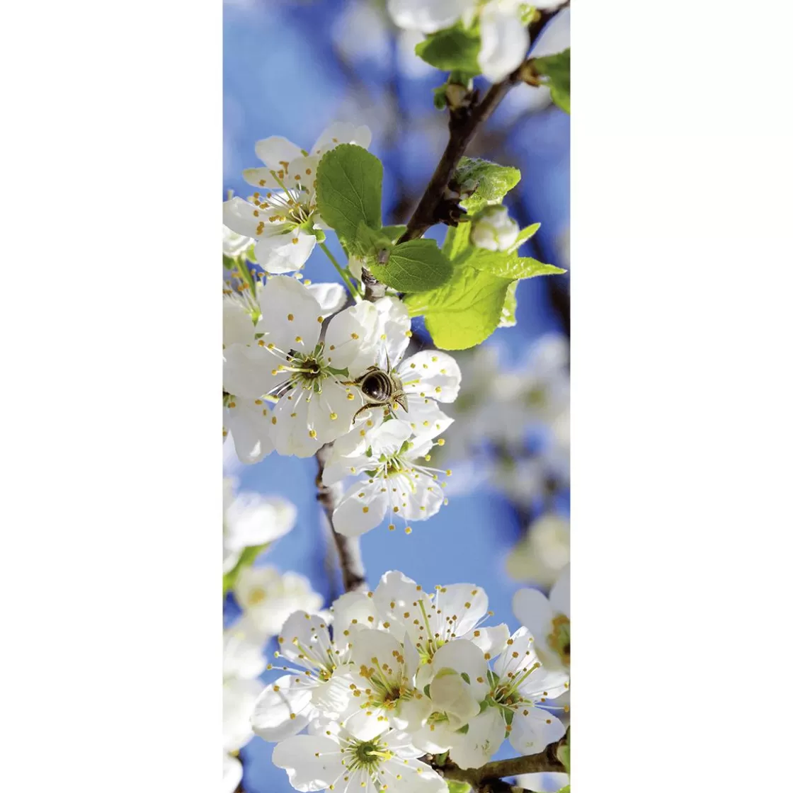 Decoración De Primavera | Pancartas De Primavera>DecoWoerner Pancarta De Tela Ignífuga "flores De Manzano Blancas Con Abeja" De Tela De Bandera 75 X 180 Cm blanco