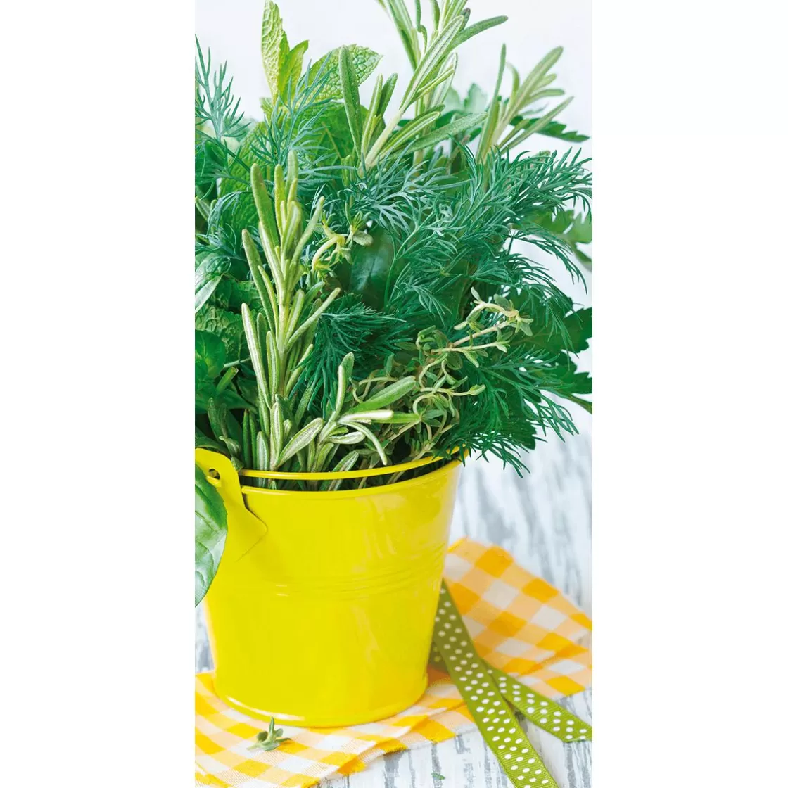 Pancartas Temáticas | Pancartas De Verano>DecoWoerner Pancarta De Tela Ignífuga "Herb Pot" De Tela De Bandera 100 X 200 Cm verde