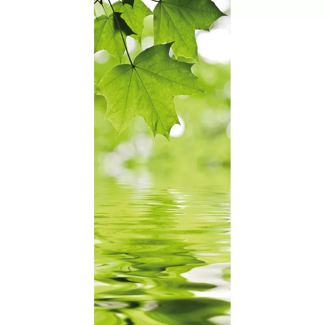 Decoración Natural | Decoración De Primavera>DecoWoerner Pancarta De Tela Ignífuga "Hojas De Arce Y Agua" De Tela De Bandera 75 X 180 Cm verde