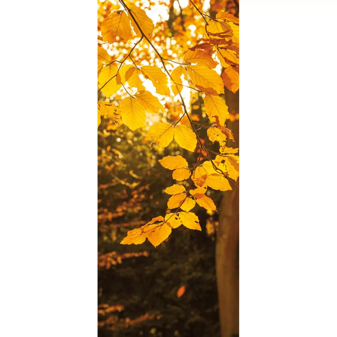 Decoración De Otoño | Pancartas De Otoño>DecoWoerner Pancarta De Tela Ignífuga "Hojas De Oro" 75 X 180 Cm amarillo