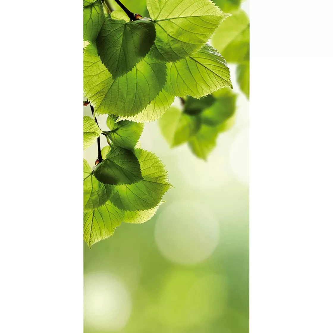 Decoración Natural | Decoración De Primavera>DecoWoerner Pancarta De Tela Ignífuga "hojas s De Abedul" De Tela De Bandera 100 X 200 Cm verde