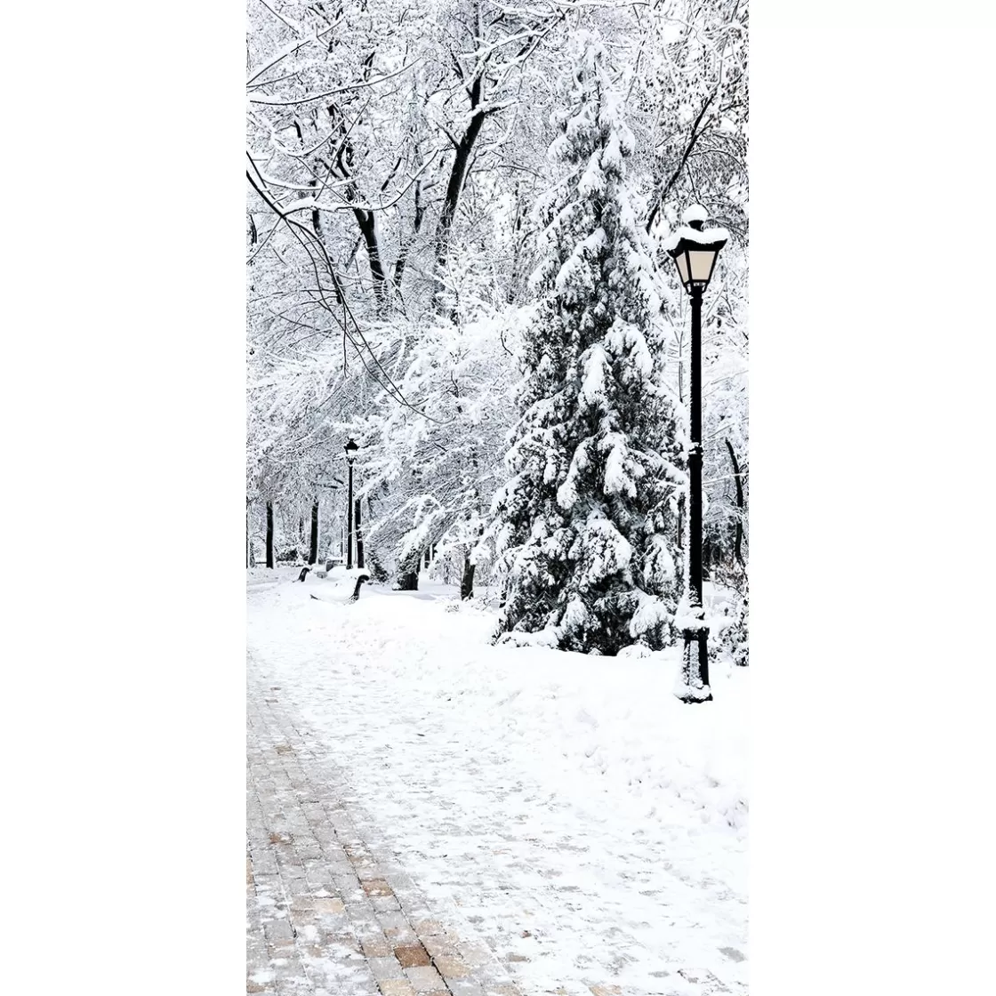 Decoración De Invierno | Pancartas De Navidad E Invierno>DecoWoerner Pancarta De Tela Ignífuga "Parque De Invierno" De Tela De Bandera 100 X 200 Cm blanco