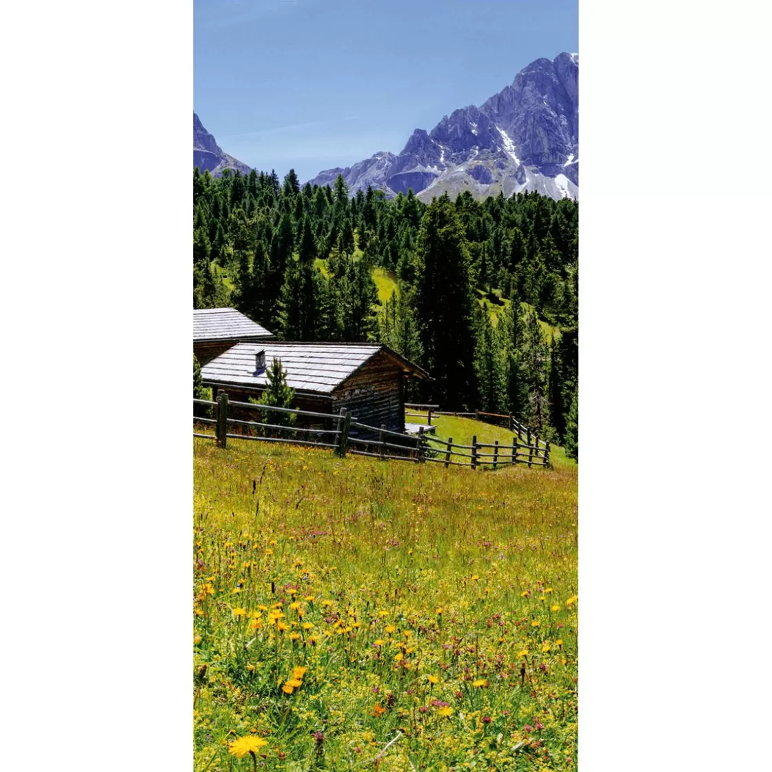 Decoración De Otoño | Decoración De Verano>DecoWoerner Pancarta De Tela Ignífuga "Pasto De Montaña Con Cabaña" De Tela De Bandera 100 X 200 Cm verde