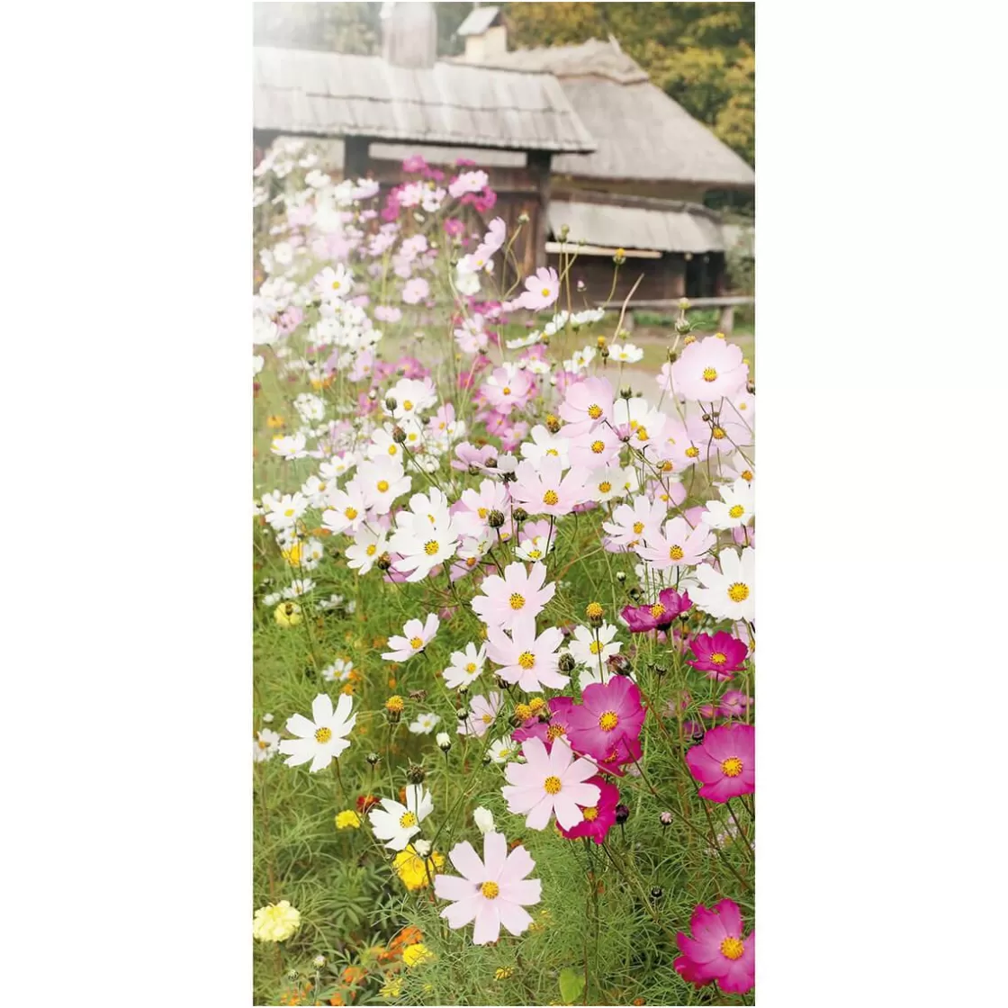 Decoración De Primavera | Pancartas De Verano>DecoWoerner Pancarta De Tela Ignífuga "Pradera De Flores" De Tela De Bandera 100 X 200 Cm rosa