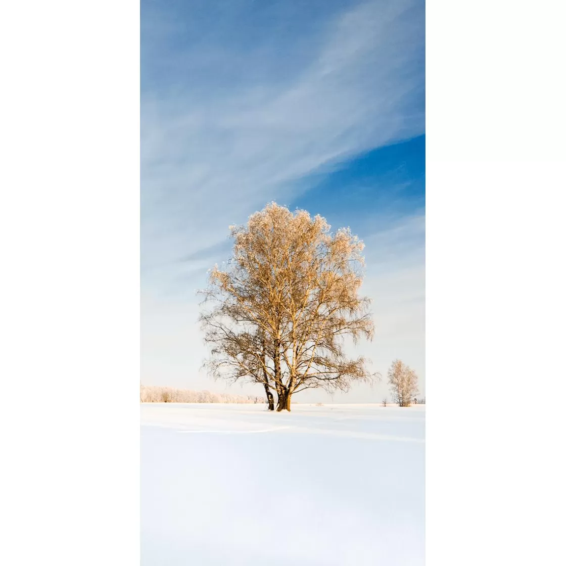 Decoración De Invierno | Pancartas De Navidad E Invierno>DecoWoerner Pancarta De Tela Ignífuga "Árbol De Invierno Dorado" De Tela De Bandera 100 X 200 Cm blanco