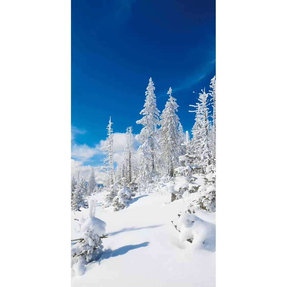 Decoración De Invierno | Pancartas De Navidad E Invierno>DecoWoerner Pancarta De Tela Ignífuga "Snowy Winter Firs" De Tela De Bandera 100 X 200 Cm blanco