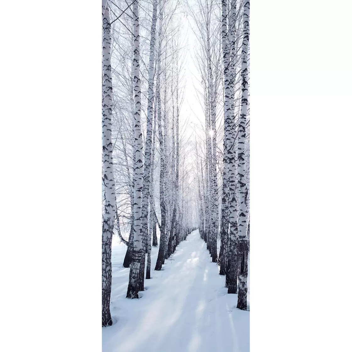 Decoración De Invierno | Pancartas De Navidad E Invierno>DecoWoerner Pancarta De Tela Ignífuga "Winterbirkenallee " De Tela De Bandera 75 X 180 Cm blanco