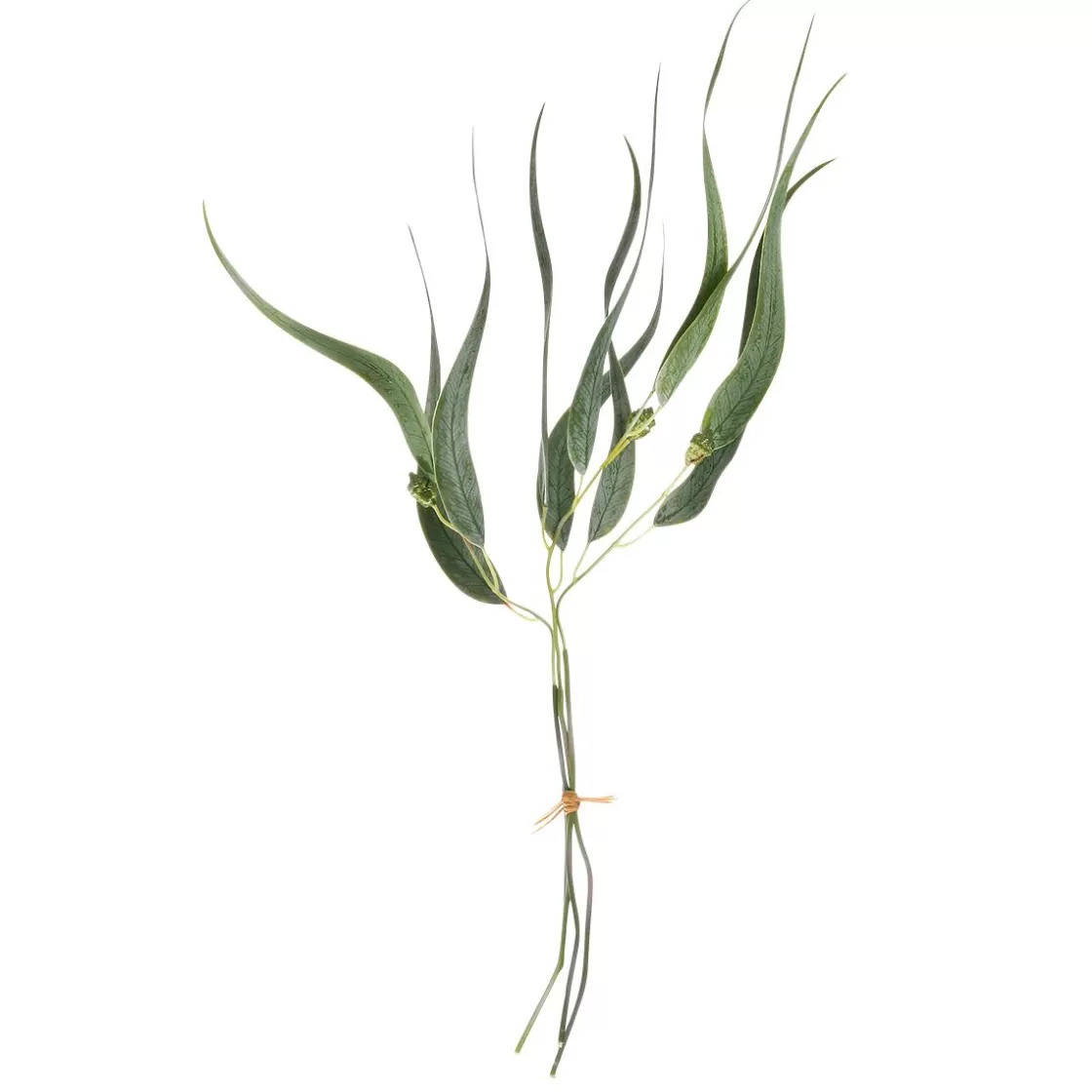 Ramas Y Ramitas>DecoWoerner Paquete De 3 Eucaliptos Artificiales, , 60 Cm De Altura verde