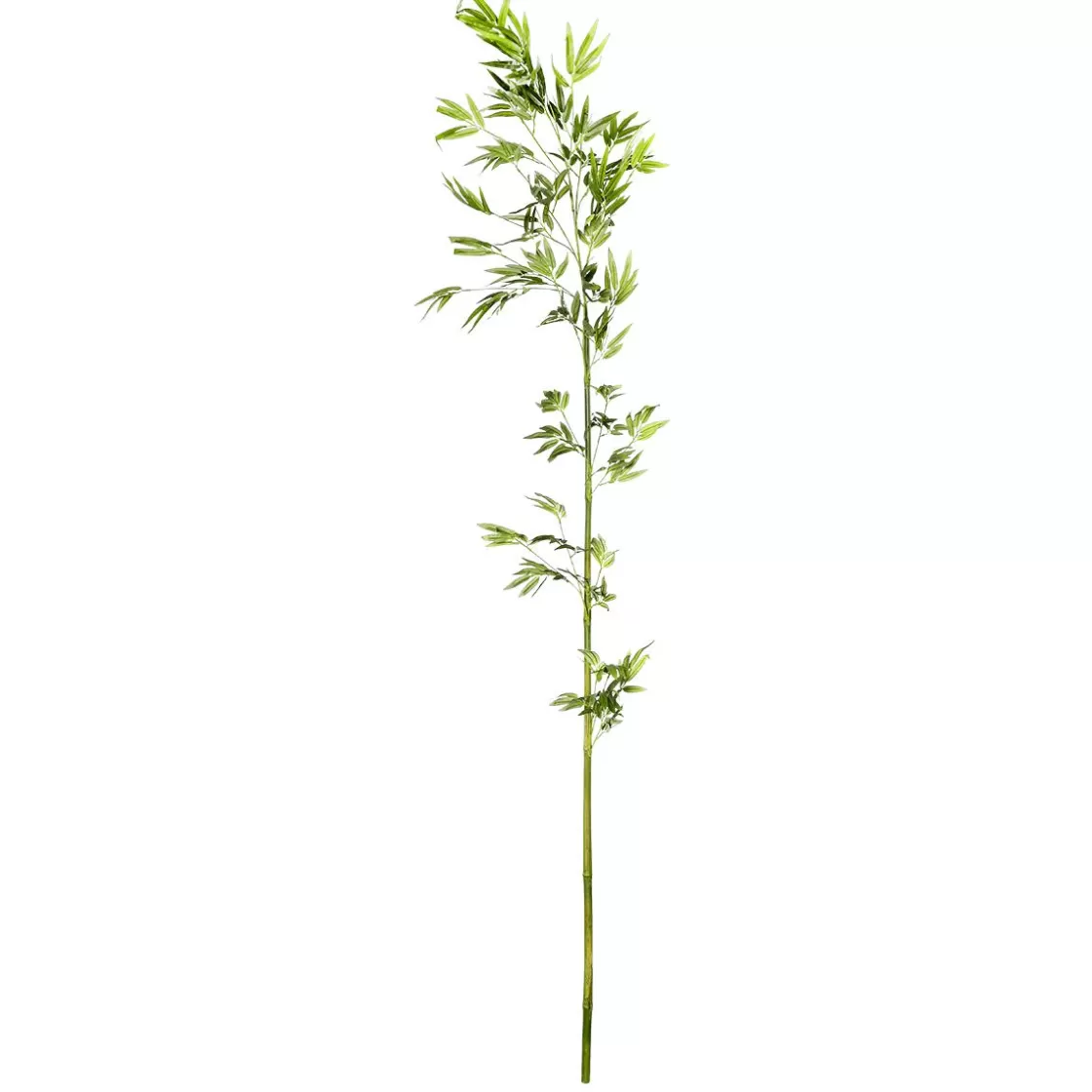 Decoración Temática | Ramas Y Ramitas>DecoWoerner Rama De Bambú, 190 Cm verde